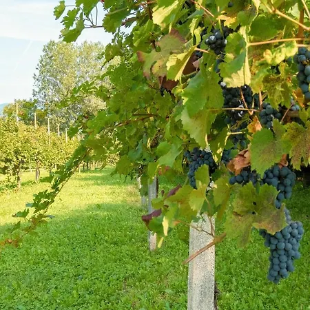 Awesome In With 1 Bedrooms And Wifi Ferienhaus San Giorgio Monferrato